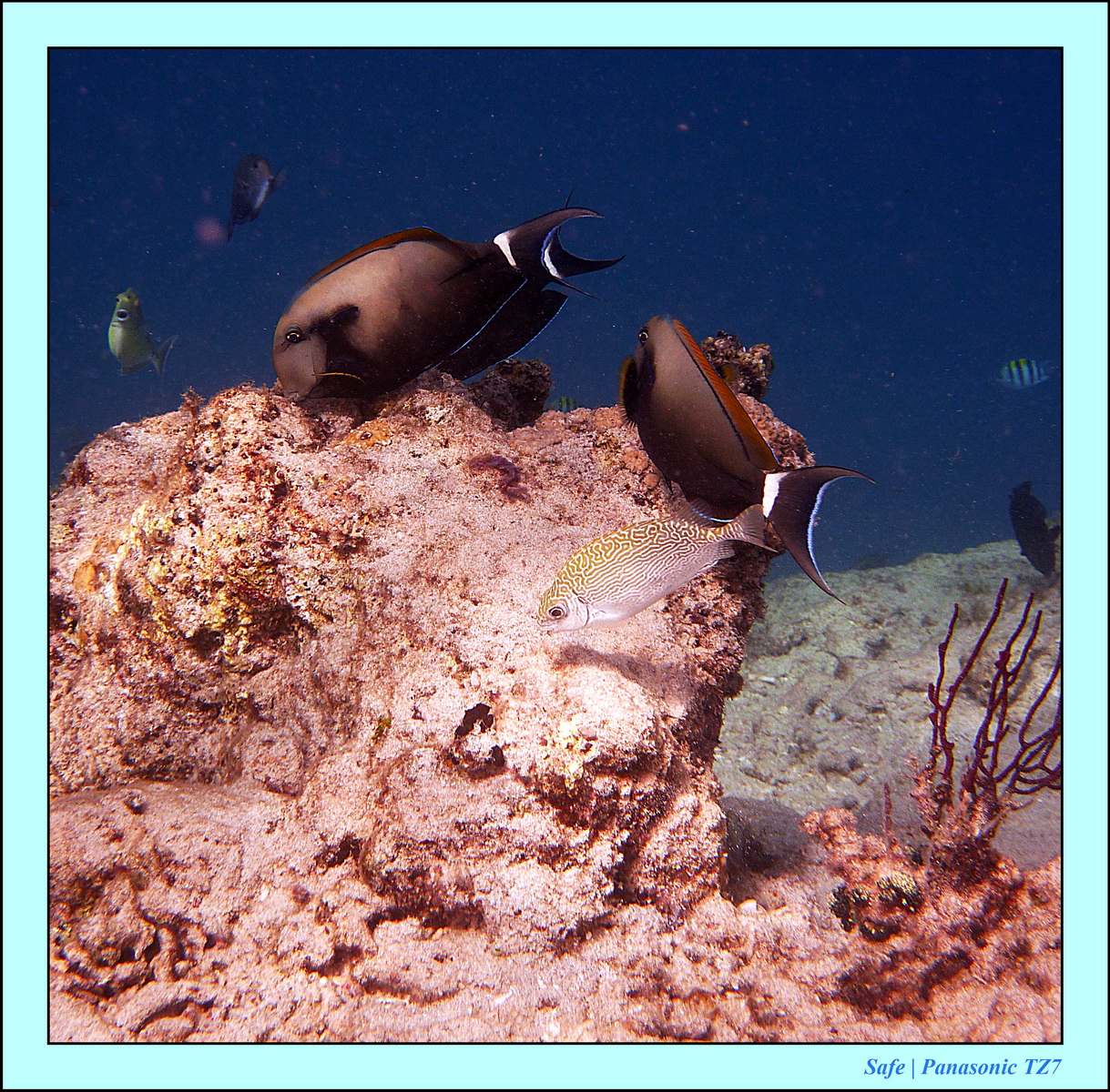 2012 - 07 - Gili - 75